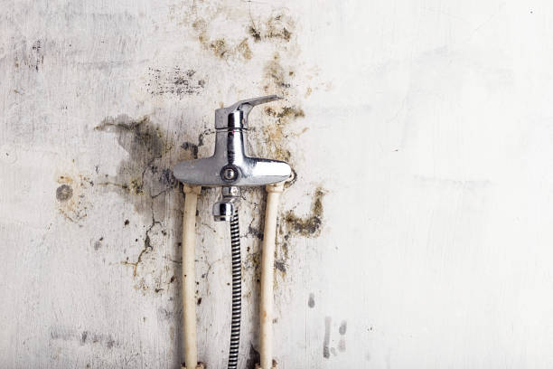 Best Mold Damage Repair  in Chowchilla, CA