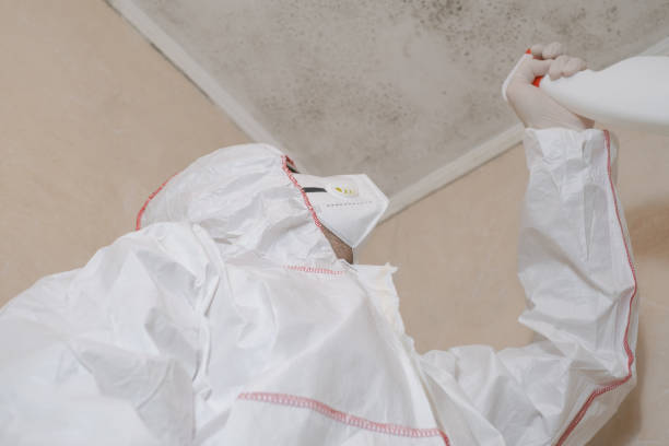 Best Crawl Space Mold Removal  in Chowchilla, CA
