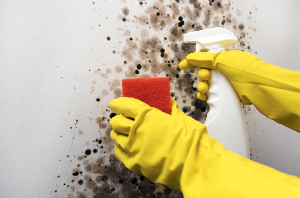 Best Mold Cleaning Services  in Chowchilla, CA